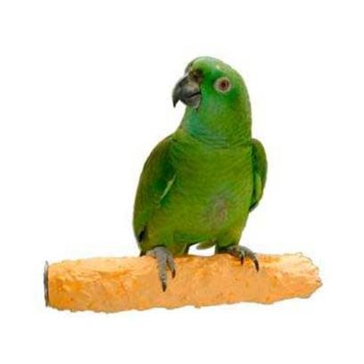 Pollys Pet Products Cuttlebone and Calcium Bird 