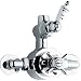 Kitchen & Housewares : Chrome Twin Exposed Thermostatic Shower Valve