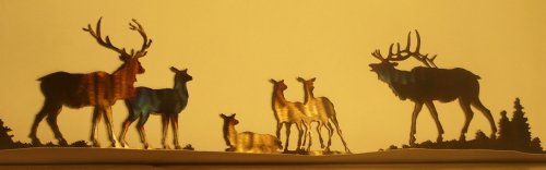 Deer
