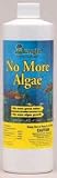 No More Algae 16oz (treats 960 Gal)