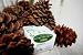 Kitchen & Housewares : Pinon Wood Incense - 40 Bricks - Incienso De Santa Fe