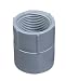Tools & Hardware : LAMSON HOME PRODUCTS E942FR-CTN ADAPTER PVC FEMALE 1"