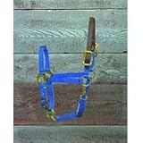 Pony Adj Hltr Wlth Hdpl Snp Bl