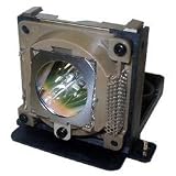 Benq Replacement Projector Lamp for Benq PB6210 and PB6110 Projector