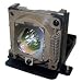 BenQ Replacement Lamp - 200W Projector Lamp - 2000 Hour Economy Mode, 3000 Hour