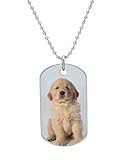 Portrait of six week old golden retriever puppy Fashion Custom Oval Dog Tag (Bigger Size) Pet Tag Neck Chain Key Chain Aluminum Dog Tag Dimensions 1.3X2.2X0.1 inches ,Comes with 30" inches beads chain