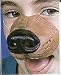 Dog Nose Facial Piece for Halloween Costume