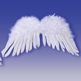Adult Feather Angel Wings