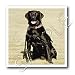 Dogs Labrador Retriever - Labrador Retriever - Iron on Heat Transfers