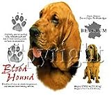 Blood Hound Adult T-Shirt
