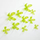 Umbra Wallflower Wall Décor, Set of 25, Kiwi