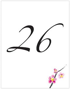 Cherry Blossom Table Number Card - Numbers 49-60