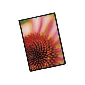 Itoya 11 x 14 Art Profolio ImagEnvelope Presentation Poly Glass Envelope.