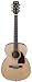 Ibanez AC30NT Acoustic Concert Size Guitar