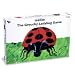 The Grouchy Ladybug Game