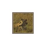 (11x14) Lioness and Cub (Playing) Double-Matted Art Print