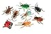 ~ 12 ~ Plastic Bugs Insects ~ 2 to 3 Inch ~ New ~ Beetles Ladybug More