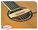 Barcus-Berry The Maplebar Magnetic Guitar Pickup MAPLEBAR