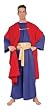 Wiseman I Adult Costume