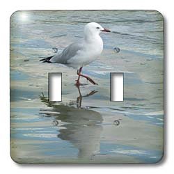 3dRose LLC lsp_22814_2 Seagull Wading at The Ocean S Edge Whangaparaoa New Zealand Double Toggle Switch On Sale