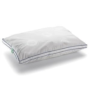 CleanRest Allergy Fr