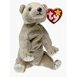 Ty Beanie Babies - Almond the Bear [Toy]