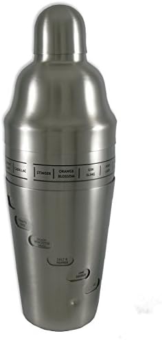 DecoTivia Best Stainless Steel Cocktail Shaker with Bartending Mixing Recipes - Martini and Margarita Maker Set
