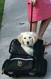 Kyjen Rolling Backpack Dog Carrier