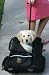 Kyjen Rolling Backpack Dog Carrier