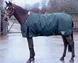 Saxon 600D Medium Turnout Blanket