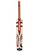 Gray Nicolls Kaboom GN Academy English-Willow Cricket Bat, Short Handle RS.2402.00