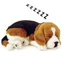 LIFE LIKE BEAGLE PUPPY