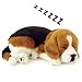 LIFE LIKE BEAGLE PUPPY