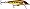 Hot Mustard Muddler