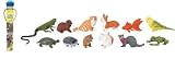 Pets Toob