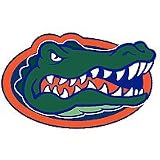 NCAA Florida Gators - 3 UF Large Wall Accent Murals / Stickers