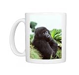 Ape Mountain Gorilla - Black male in sub-alpine zone Photo Mugs