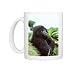 Ape Mountain Gorilla - Black male in sub-alpine zone Photo Mugs