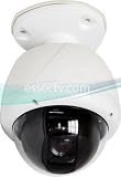Eyemax 500 TVL x100 Zoom (x10 Optical) Day&Night Small Indoor/Outdoor PTZ Camera, Mount INCLUDED