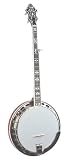 Recording King The Professional Archtop Resonator Banjo, Left Handed