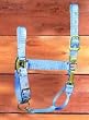 Hamilton Deluxe 1" Nylon Horse Halter with Adjustable Chin and Throat Snap, Berry Blue, Average (800-1100 lbs)