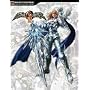 SOULCALIBUR IV Limited Edition Guide (Official Strategy Guides (Bradygames))