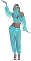 Harem Honey Sexy Costume