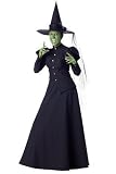 Wicked Witch Elite Collection Adult Costume