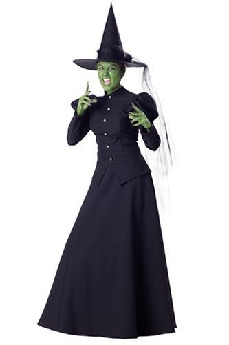 Deluxe Wicked Witch Adult Costume