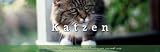 Produkt-Bild: Tischkalender Katzen 2011 - Kalender