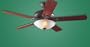 HUNTER 23682 60" Grand Lodge Ceiling Fan New Bronze W/ Light & 5 Rev Dk Cherry/Med Oak Blades