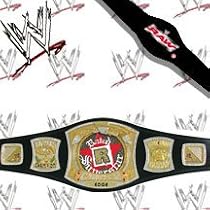 WWE Rated-R Spinning Championship Kids Size Replica Wrestling Belt