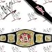 WWE Rated-R Spinning Championship Kids Size Replica Wrestling Belt