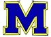 Michigan Wolverines Suncatcher